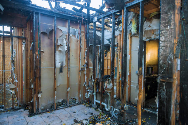 Professional Odor Removal technician working in Converse, IN